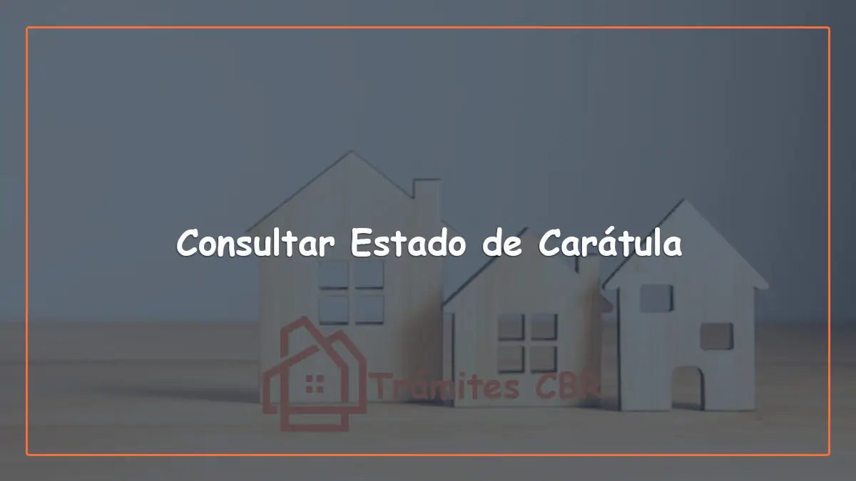 Consultar estado de carátula en línea